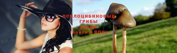 ECSTASY Абинск