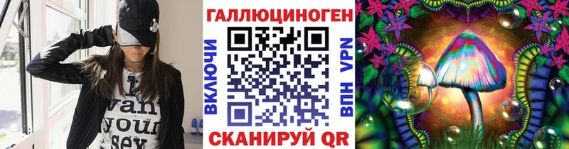 продажа наркотиков  Богородск  кракен ONION  Галлюциногенные грибы Psilocybe 